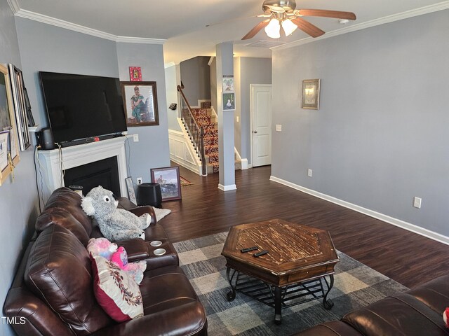 1303 Salters St, Burlington, NC 27215 - living room featuring ceiling fan, stairs, wood finished floors, ornamental molding, and a fireplace