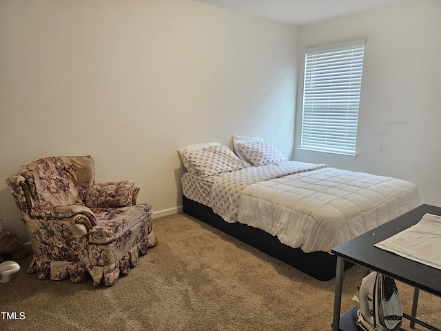 1303 Salters St, Burlington, NC 27215 - bedroom featuring carpet and baseboards