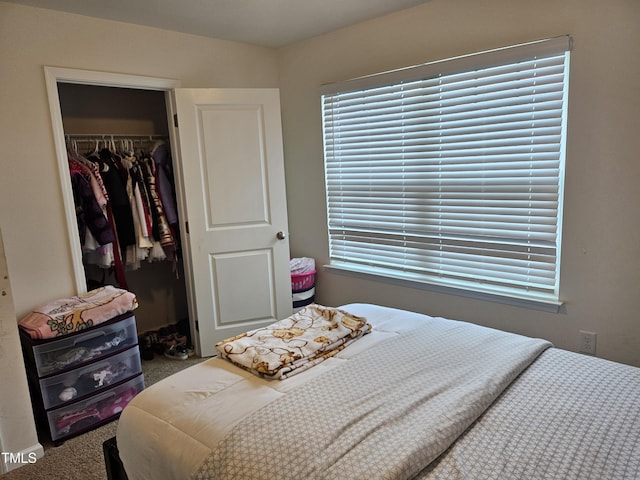 1303 Salters St, Burlington, NC 27215 - carpeted bedroom with multiple windows