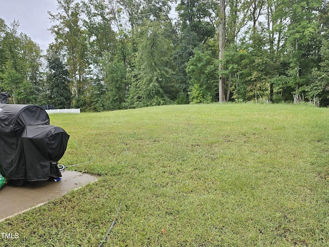 1303 Salters St, Burlington, NC 27215 - view of green lawn