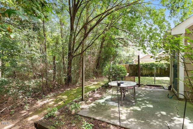 4201 Pin Oak Dr, Durham, NC 27707 - view of patio