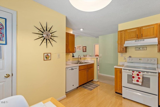 4201 Pin Oak Dr, Durham, NC 27707 - kitchen featuring white appliances, under cabinet range hood, light countertops, light wood-style flooring, and brown cabinetry