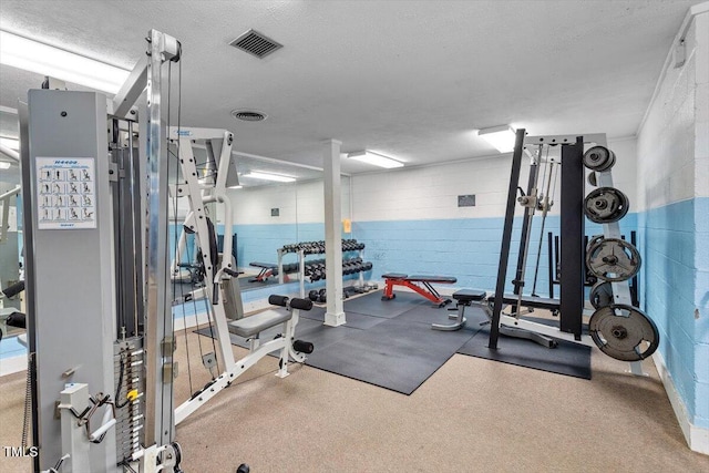 4201 Pin Oak Dr, Durham, NC 27707 - gym featuring concrete block wall and a textured ceiling