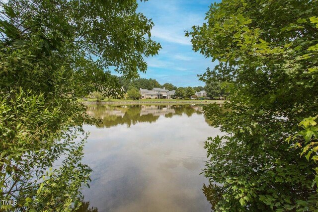 4201 Pin Oak Dr, Durham, NC 27707 - water view