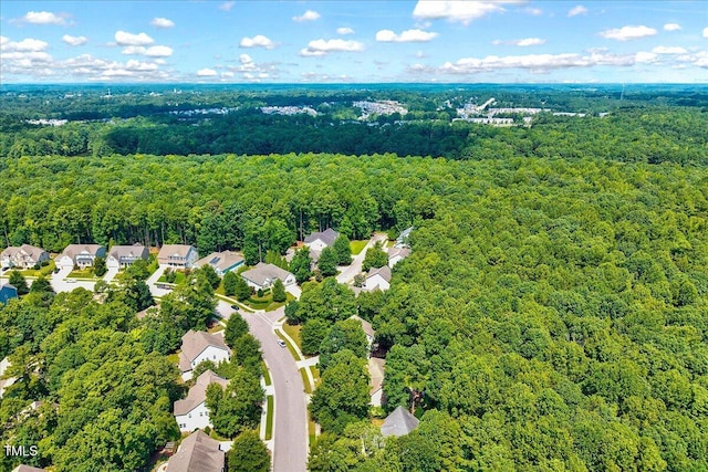 601 Opposition Way, Wake Forest, NC 27587 - photo 42