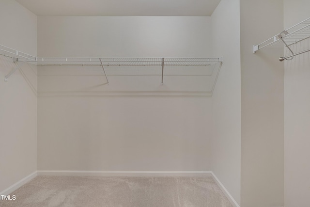130 Holly Berry Ln, Durham, NC 27703 - walk in closet with carpet floors
