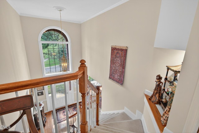 205 Landreth Ct, Durham, NC 27713 - photo 33