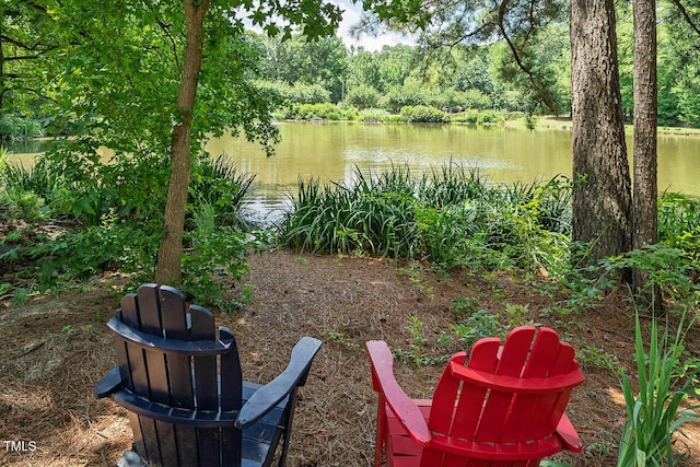 111 Wilander Dr, Cary, NC 27511 - photo 10