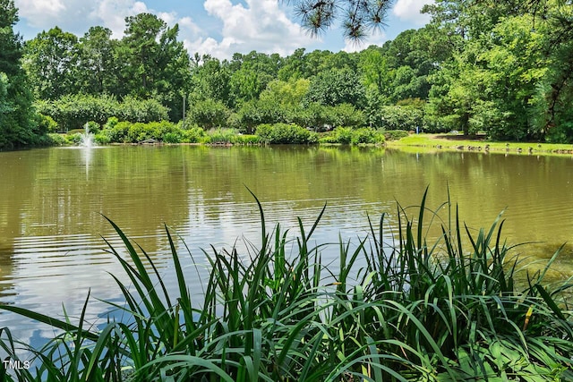 111 Wilander Dr, Cary, NC 27511 - photo 11