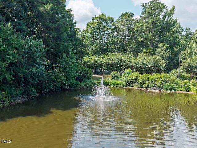 111 Wilander Dr, Cary, NC 27511 - photo 66