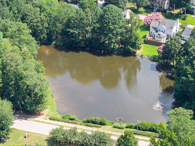 111 Wilander Dr, Cary, NC 27511 - photo 73