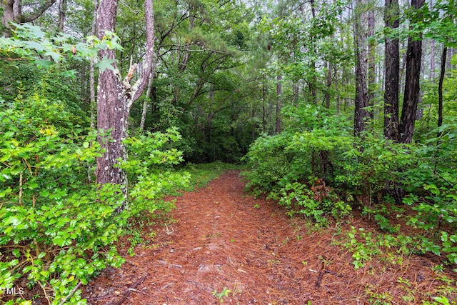 0 Broadway Rd, Sanford, NC 27332 - photo 5