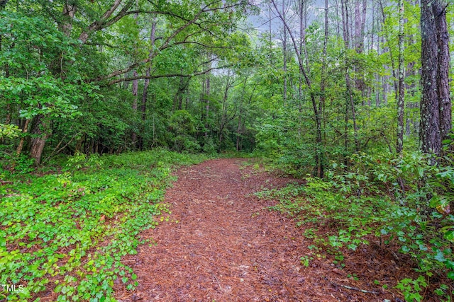 0 Broadway Rd, Sanford, NC 27332 - photo 6