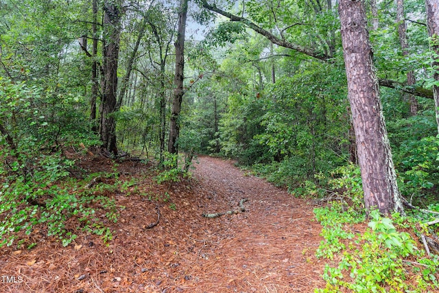 0 Broadway Rd, Sanford, NC 27332 - photo 7