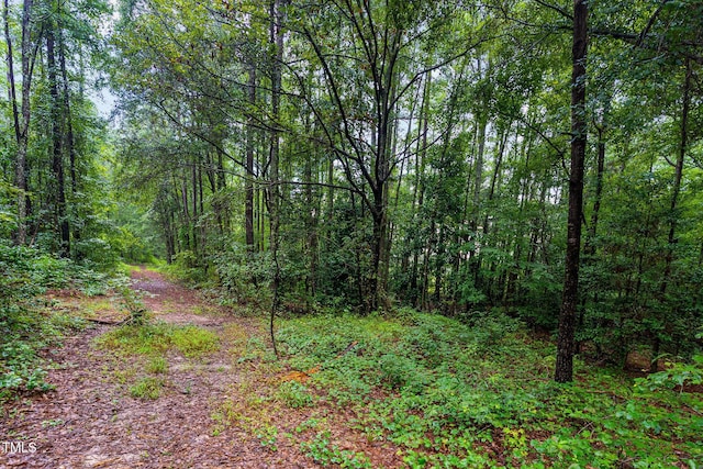 0 Broadway Rd, Sanford, NC 27332 - photo 8