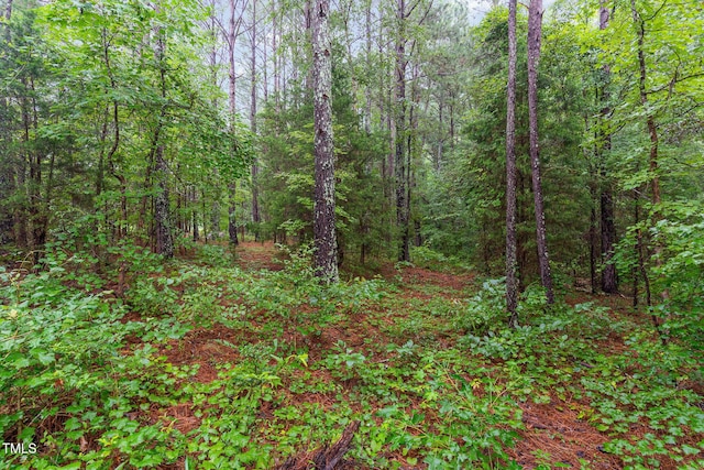 0 Broadway Rd, Sanford, NC 27332 - photo 9