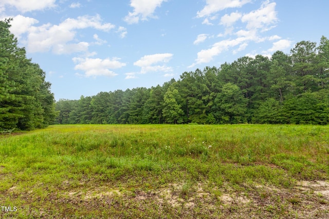 0 Broadway Rd, Sanford, NC 27332 - photo 3