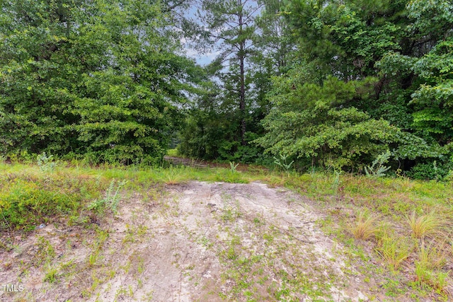 0 Broadway Rd, Sanford, NC 27332 - photo 11