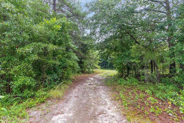 0 Broadway Rd, Sanford, NC 27332 - photo 12