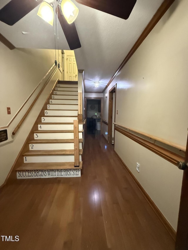 2037 Deer Trl, Clayton, NC 27527 - photo 11