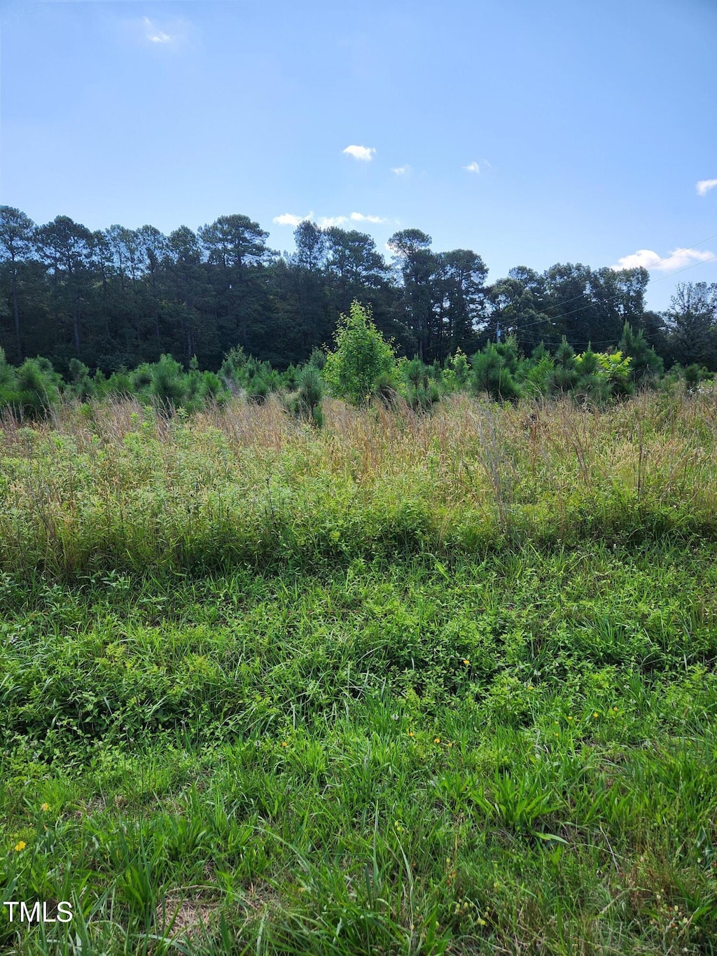 0 Paschall Station Rd, Warrenton, NC 27589 - photo 1