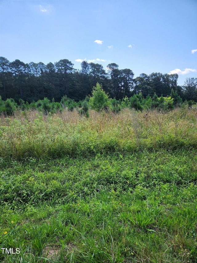 0 Paschall Station Rd, Warrenton, NC 27589 - photo 1