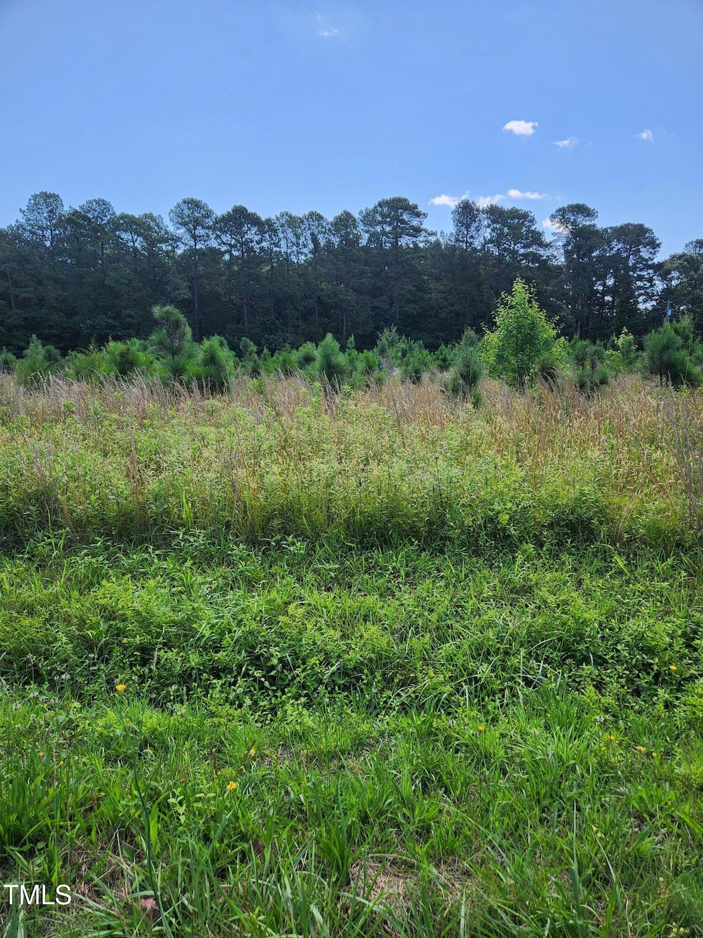 0 Paschall Station Rd, Warrenton, NC 27589 - photo 2