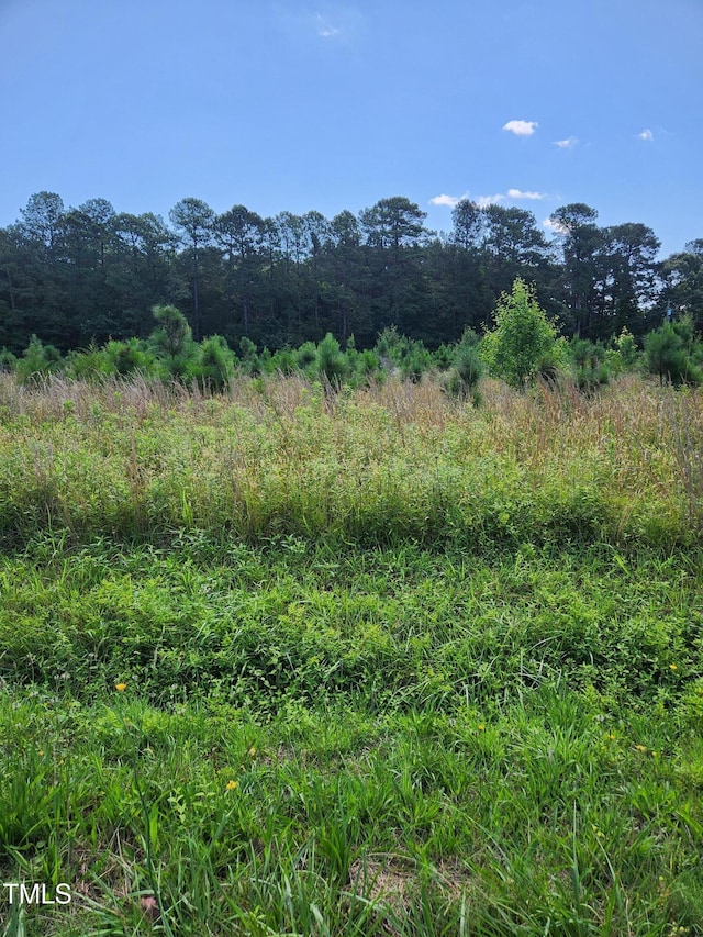 0 Paschall Station Rd, Warrenton, NC 27589 - photo 2