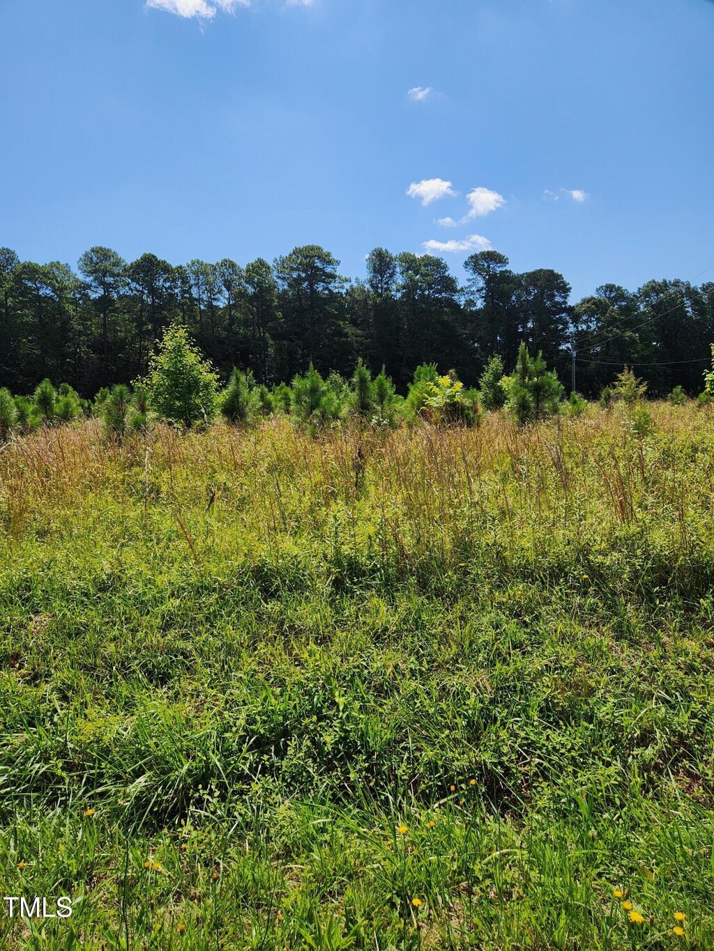 0 Paschall Station Rd, Warrenton, NC 27589 - photo 3