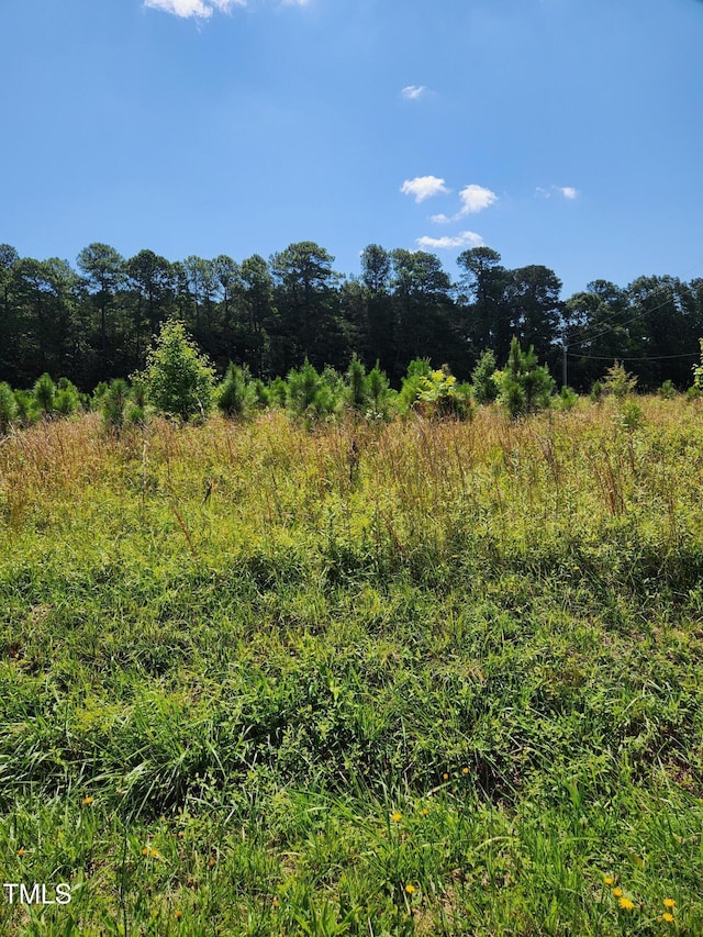 0 Paschall Station Rd, Warrenton, NC 27589 - photo 3