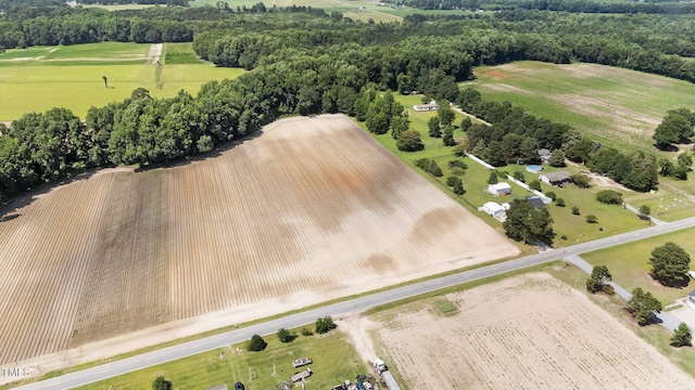 0 Hinnant-Edgerton Rd, Kenly, NC 27542 - photo 1