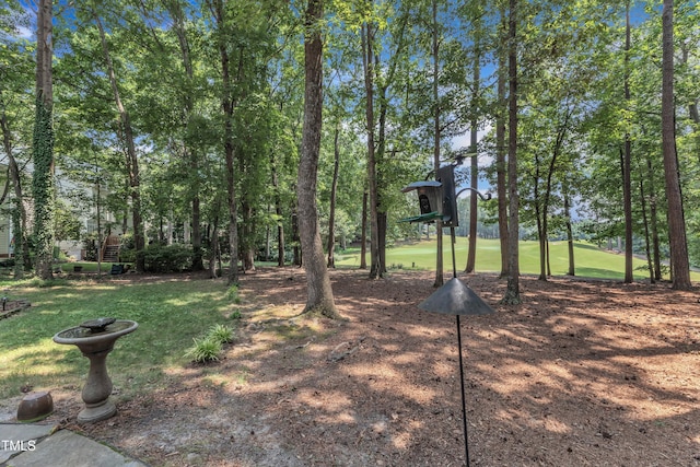 5120 Linksland Dr, Holly Springs, NC 27540 - photo 58