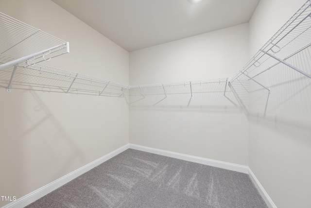 2016 Birdhouse Ln, Wake Forest, NC 27587 - photo 29