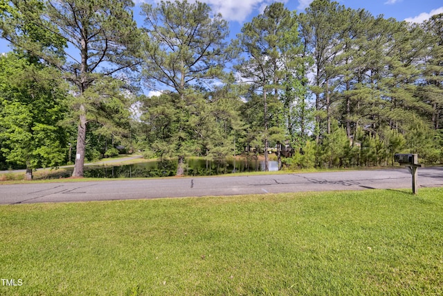 207 Mcleod Dr, Sanford, NC 27330 - photo 3