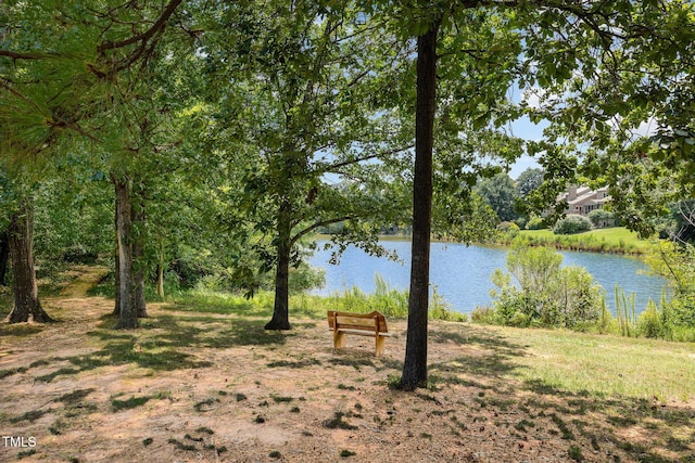 7 Weybridge Pl, Chapel Hill, NC 27517 - water view