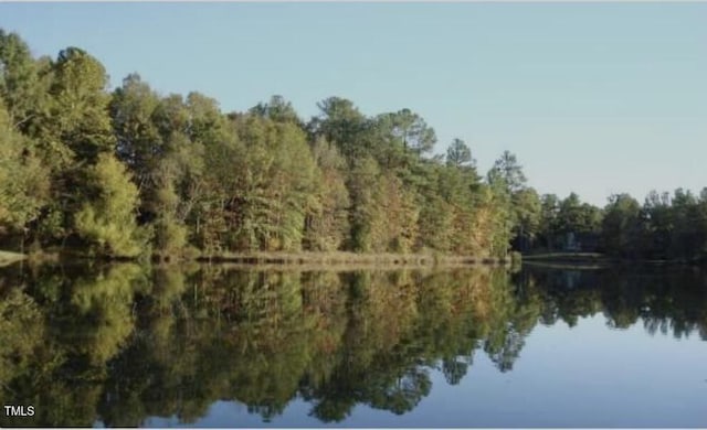7 Weybridge Pl, Chapel Hill, NC 27517 - water view with a forest