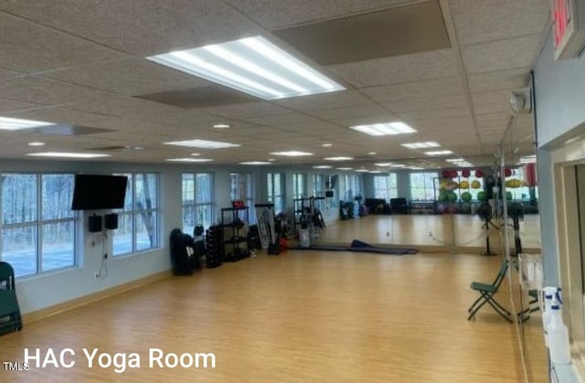 2301 Laurel Valley Way, Raleigh, NC 27604 - gym featuring wood finished floors, a paneled ceiling, and healthy amount of natural light