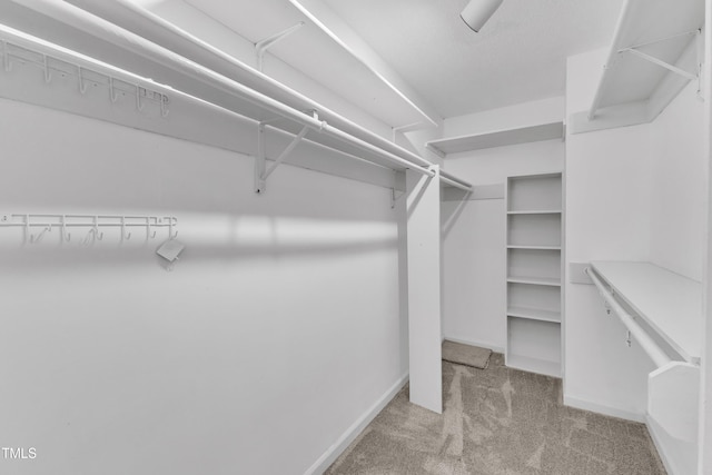 906 Albany Ct, Raleigh, NC 27615 - photo 25