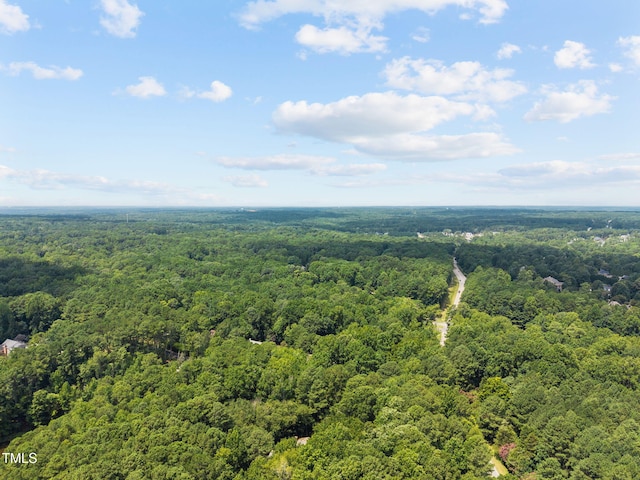 11705 Durant Rd, Raleigh, NC 27614 - photo 3