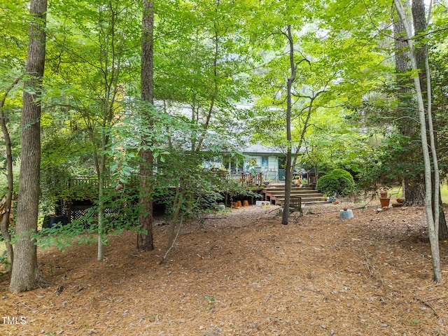 11705 Durant Rd, Raleigh, NC 27614 - photo 7