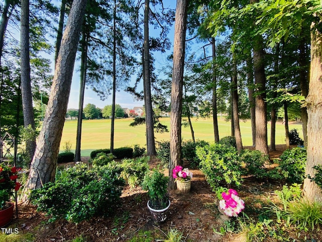9128 Palm Bay Cir, Raleigh, NC 27617 - photo 5
