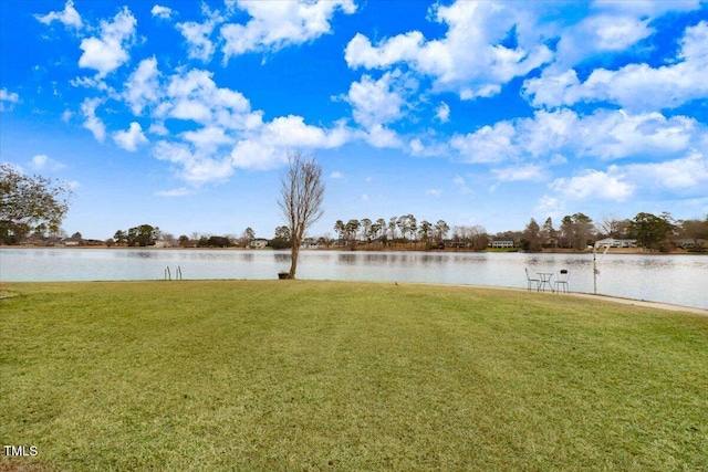 607 Lake Shore Dr, Goldsboro, NC 27534 - photo 12