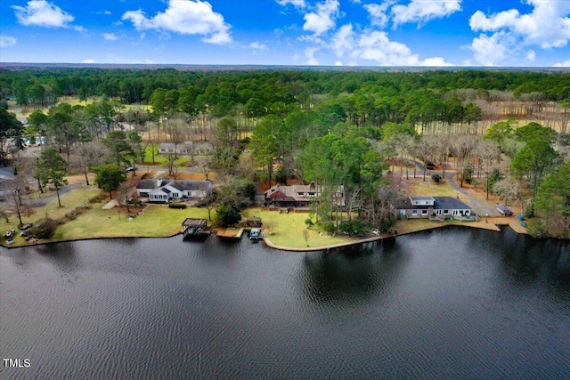 607 Lake Shore Dr, Goldsboro, NC 27534 - photo 19