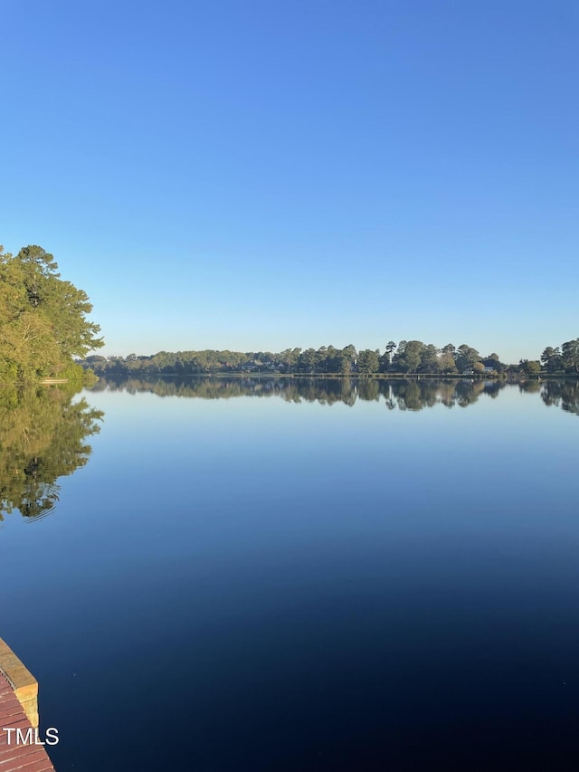 607 Lake Shore Dr, Goldsboro, NC 27534 - photo 72