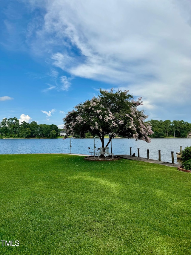 607 Lake Shore Dr, Goldsboro, NC 27534 - photo 86