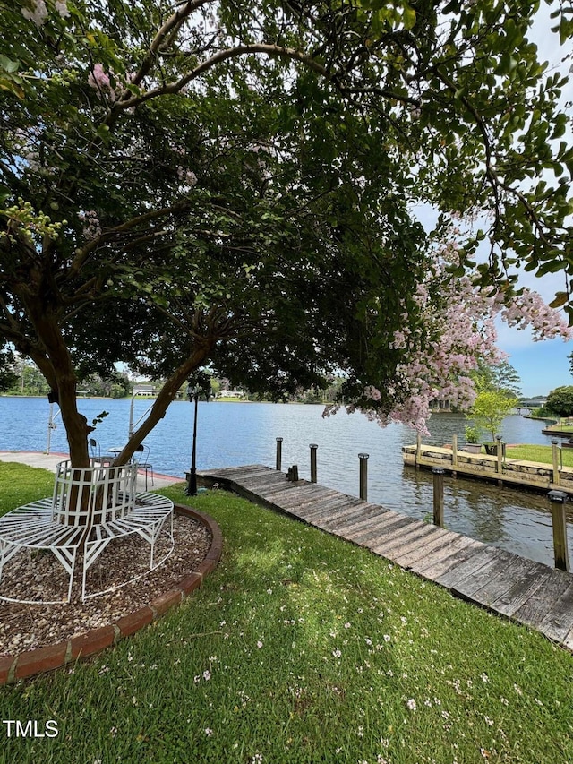 607 Lake Shore Dr, Goldsboro, NC 27534 - photo 85