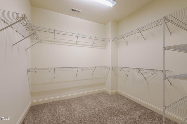 102 Salt Cedar Ln, Chapel Hill, NC 27516 - photo 24