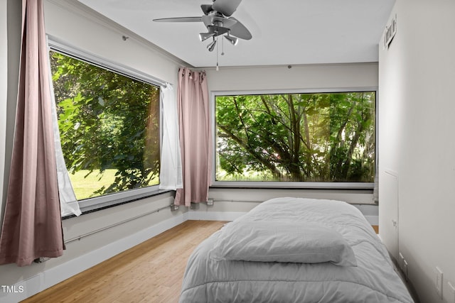 115 Ashworth Dr, Durham, NC 27707 - bedroom with multiple windows, wood finished floors, and a ceiling fan