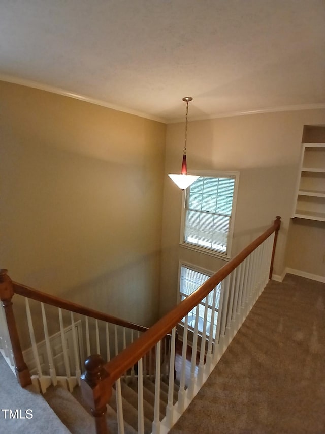 104 Oak Hollow Ct, Raleigh, NC 27613 - photo 6
