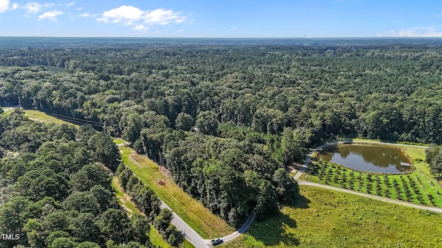 125 E Stone Rd, Apex, NC 27523 - photo 4